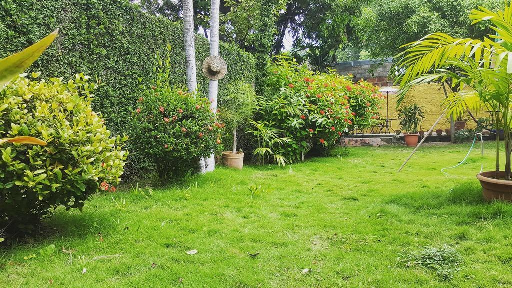 Hostal El Jardin León Exteriör bild