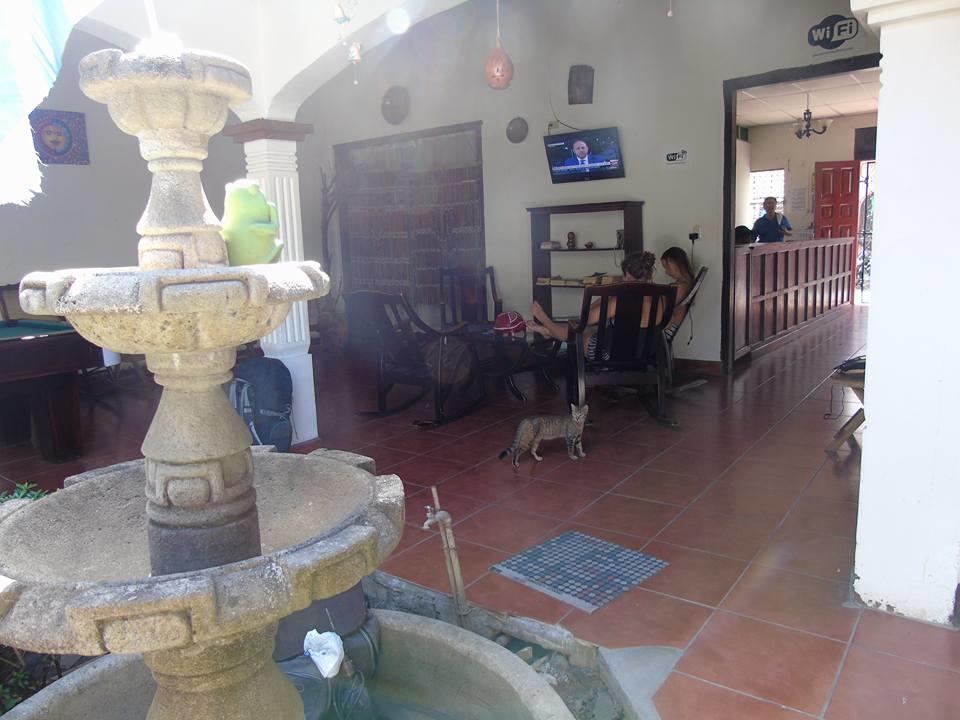 Hostal El Jardin León Exteriör bild